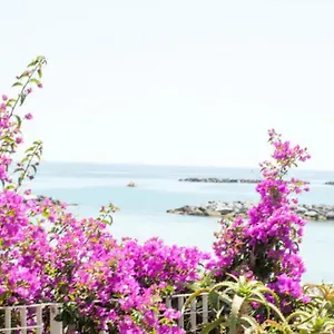 Iris Centralissimo , San Remo Italie